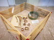 Museo - 1. Sezione-Sala Pirro Nord-Reperti 2